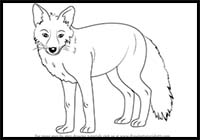 How to Draw a Fox