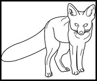 How to Draw a Kit Fox