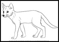 How to Draw a Swift Fox