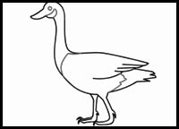 How to Draw a Goose