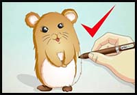 How to Draw a Hamster