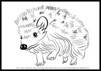 How to Draw a Hedgehog