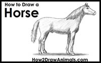 How to Draw a Horse