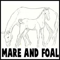 How to Draw Momma and Baby Horse (Mare and Foal) Drawing Tutorial