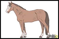 How to Draw a Realistic Horse