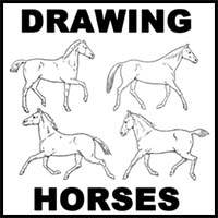 How to Draw Horses with Easy Step by Step Drawing Lessons