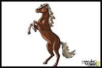 How to Draw a Horse Body