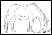 How to Draw a Horse Eating Grass