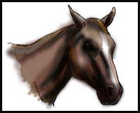 How to Draw a Horse Head