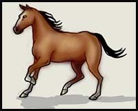 How to Draw a Horse Step by Step