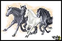 How to Draw Horses