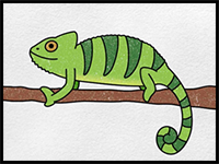 How to Draw a Chameleon