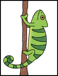 How to Draw a Chameleon
