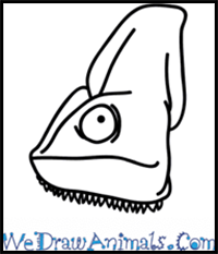 How to Draw a Chameleon Face