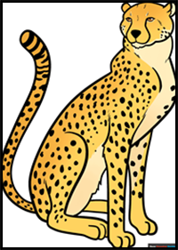 How to Draw a Cheetah