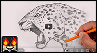 How to Draw a Cheetah | Sketch Tutorial (Step-by-Step)