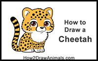 How to Draw a Cheetah (Cartoon) VIDEO & Step-by-Step Pictures