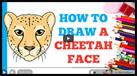 How to Draw a Cheetah Face: Easy Step by Step Drawing Tutorial for Beginners