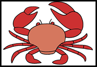 How to Draw a Crab