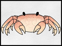 How to Draw a Crab