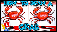 How to Draw a Realistic Crab