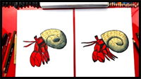 How to Draw a Hermit Crab