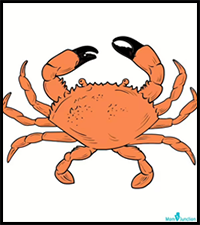 How to Draw a Crab in 10 Easy Steps for Kids