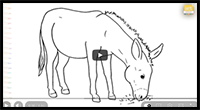 A Donkey Eating Grass Drawing Easy