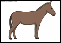 How to Draw a Donkey
