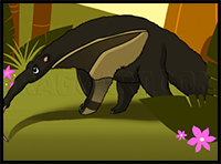 How to Draw an Anteater