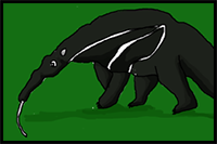 How to Draw an Anteater