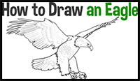 Learn How to Draw an American Eagle Step by Step Drawing Tutorial for Beginners