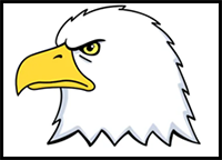 How to Draw a Bald Eagle Head
