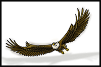 How to Draw Eagle Wings
