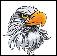 How to Draw an Eagle Head
