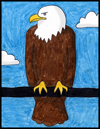 How to Draw a Bald Eagle