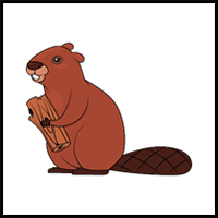 How to Draw a Beaver Step by Step