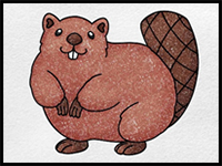 How to Draw a Beaver