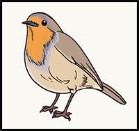 How to Draw a Robin