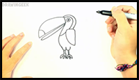 How to Draw a Toucan for Kids