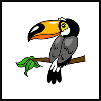 How to Draw a Toucan
