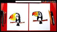 How to Draw a Cartoon Toucan