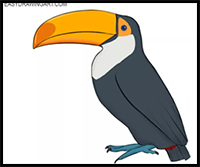 How to Draw a Toucan