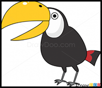 How to Draw Toucan