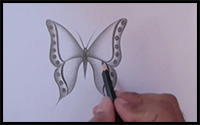 How to Draw a Butterfly