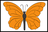 How to Draw a Butterfly