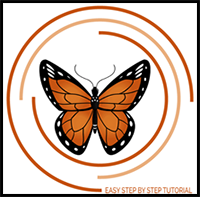 How to Draw a Monarch Butterfly
