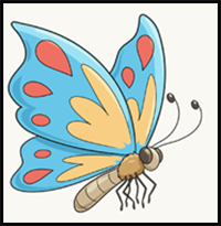 How to Draw a Cartoon Butterfly