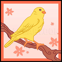 How to Draw a Canary