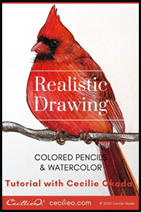 Drawing with Colored Pencils: Realistic Cardinal Tutorial